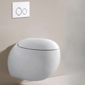Luxury Wall-Hung Water Closet (WC)